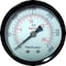 Tru-Flate Tru-Flate Polycarbonate Air Line Gauge 1/4 in. NPT 300 psi 1 pc 24804 - alternate 2